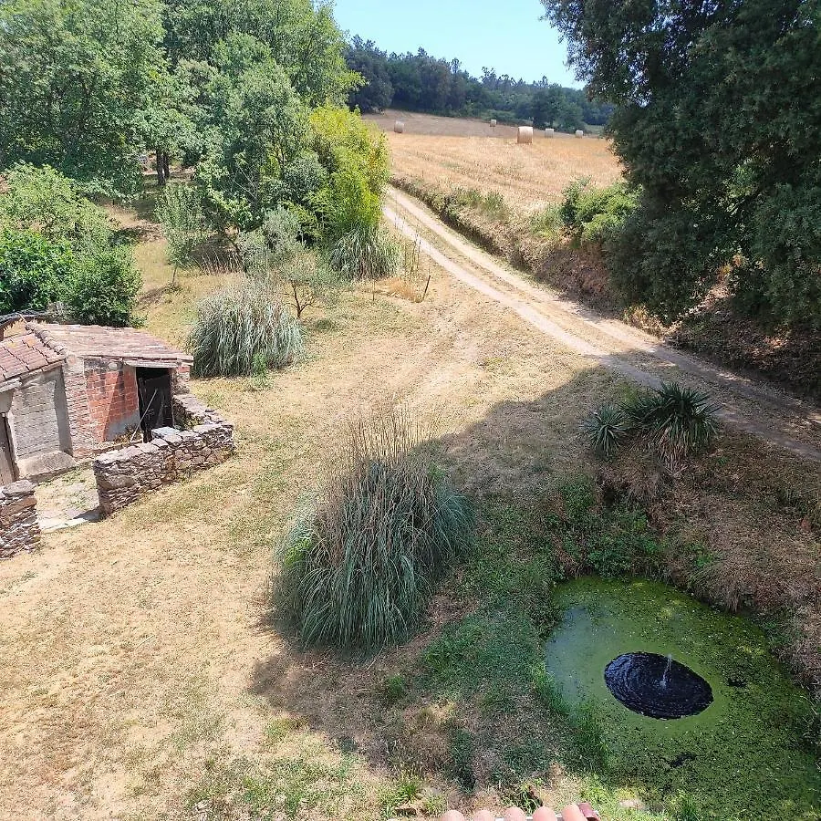 Can Cargol Amer Casa rural
